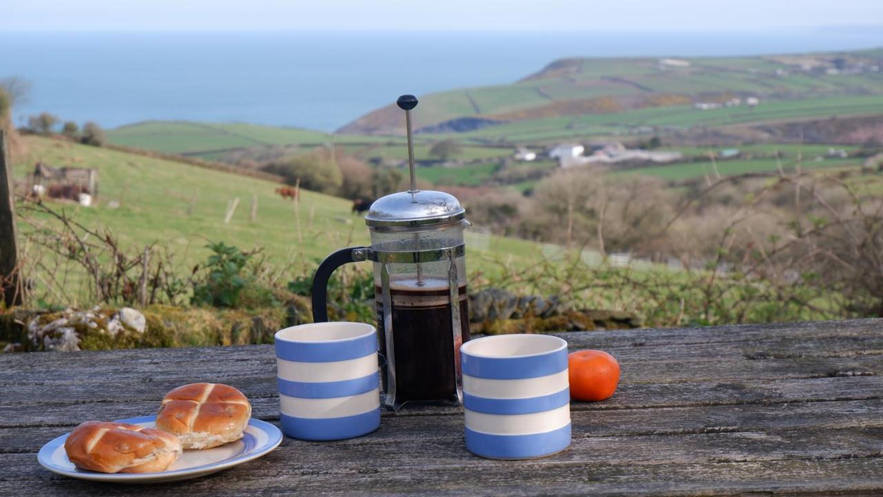 Polrunny Farm Seaberry Cottage With A Sea View And Log Burner 보스캐슬 외부 사진