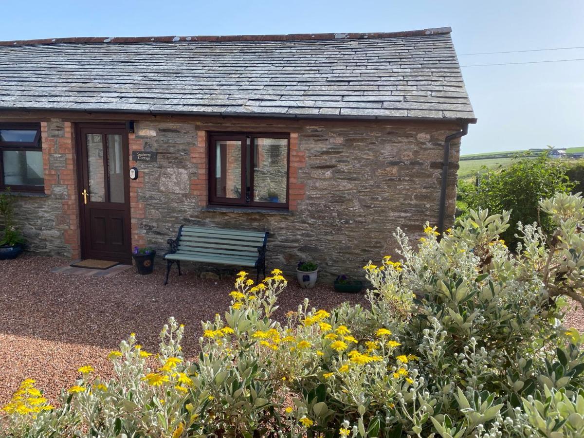 Polrunny Farm Seaberry Cottage With A Sea View And Log Burner 보스캐슬 외부 사진