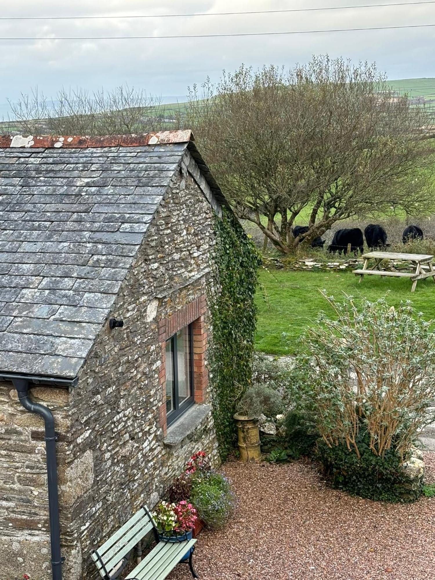 Polrunny Farm Seaberry Cottage With A Sea View And Log Burner 보스캐슬 외부 사진